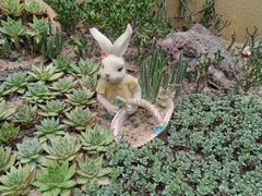 -正佳雨林生态植物园