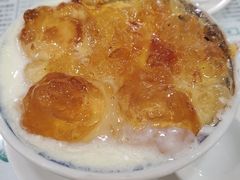桃胶双皮奶-仁信老铺(华盖路店)
