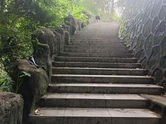 -火炉山森林公园