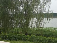 android_upload_pic-北京红螺园饭店