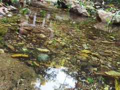 -飞霞风景名胜区