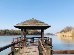 -苏州太湖国家湿地公园