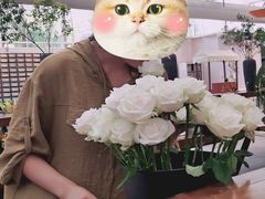 -荷兰花海