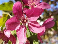 -皇城根遗址公园-东安门遗址