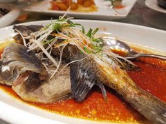 -豐柏轩食府