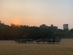 -广州雕塑公园