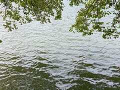 -荔湾湖公园