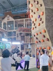 -卡通尼·Safari非洲探索乐园·生日会(金桥国际商业广场店)