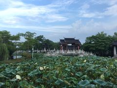 -惠州西湖丰渚园