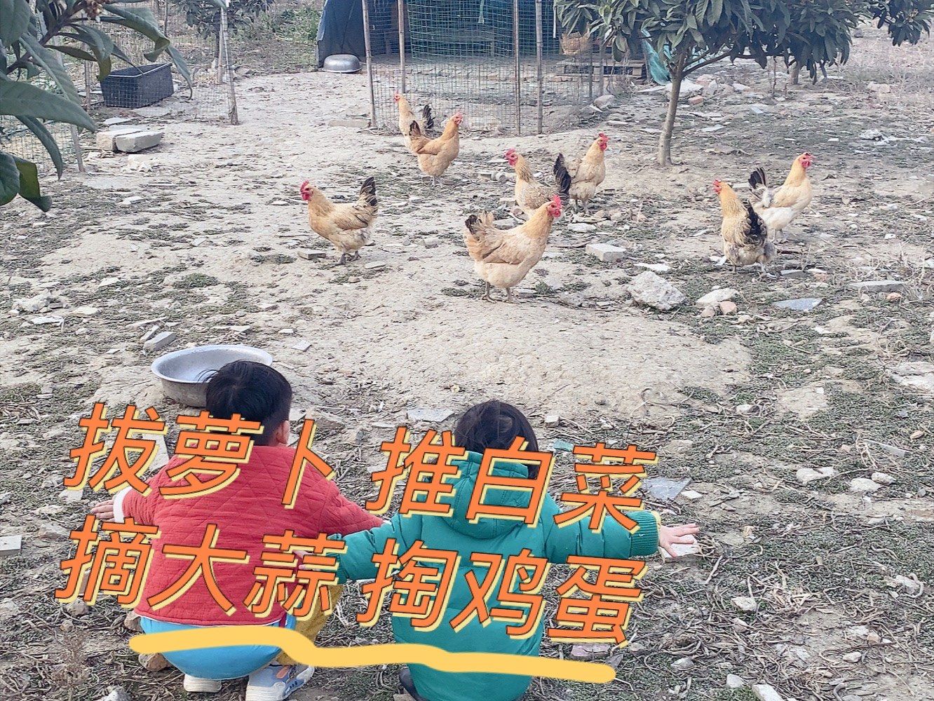 白菜 大蒜叶 
还去鸡窝里掏了四个热乎的鸡蛋
#还是乡下空气好