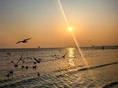 -老虎石海上公园