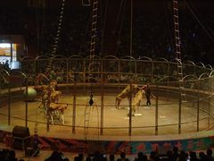 -俄罗斯国家大马戏团