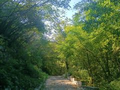 -锦屏山旅游度假区