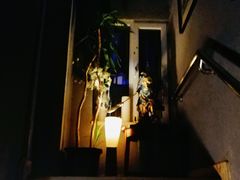 -OX BAR 拉培耶小镇(大连老街店)