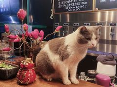 -后院儿·精酿·塔罗Happy Bar