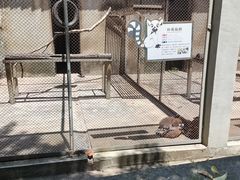 -合肥野生动物园