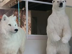 -上海中国航海博物馆