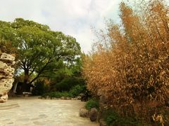 -皇家御河游(紫御湾码头)