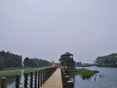 -白渔泡湿地公园