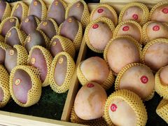 -鲜果屋(海口美兰机场店)
