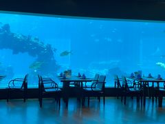 -海棠湾洲际-涛·海底餐厅·美人鱼·自助餐·海底隧道