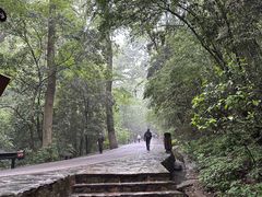 -岳麓山风景名胜区