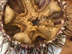 -海胆小馆(东北水饺·春柳店)