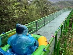 -贵州森林野生动物园