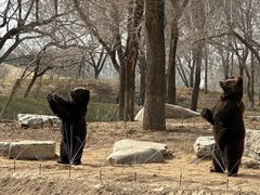 -北京野生动物园