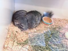 -龙猫仔乐园(惠福东路店)