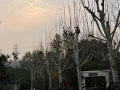 -重庆园博园