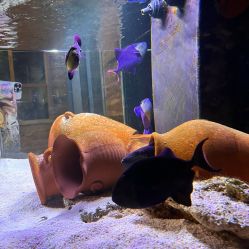 -Zoolung Zoolung动物主题公园(海信广场店)