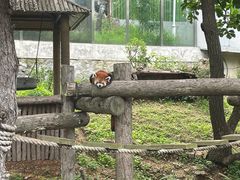 -大连森林动物园