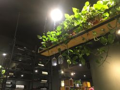 -藤野造型·专业烫染店