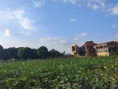 -滆湖低碳生态公园
