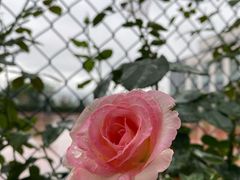 -杭州电子信息职业学校(丁桥校区)