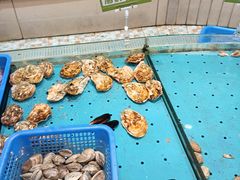 -福泉海码头(六里山店)