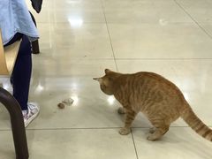 -老盛昌(梅陇店)