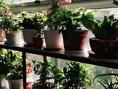 -北京龙庆四季香农家饭庄·灶台鱼·碳烤虹鳟鱼(龙庆峡店)