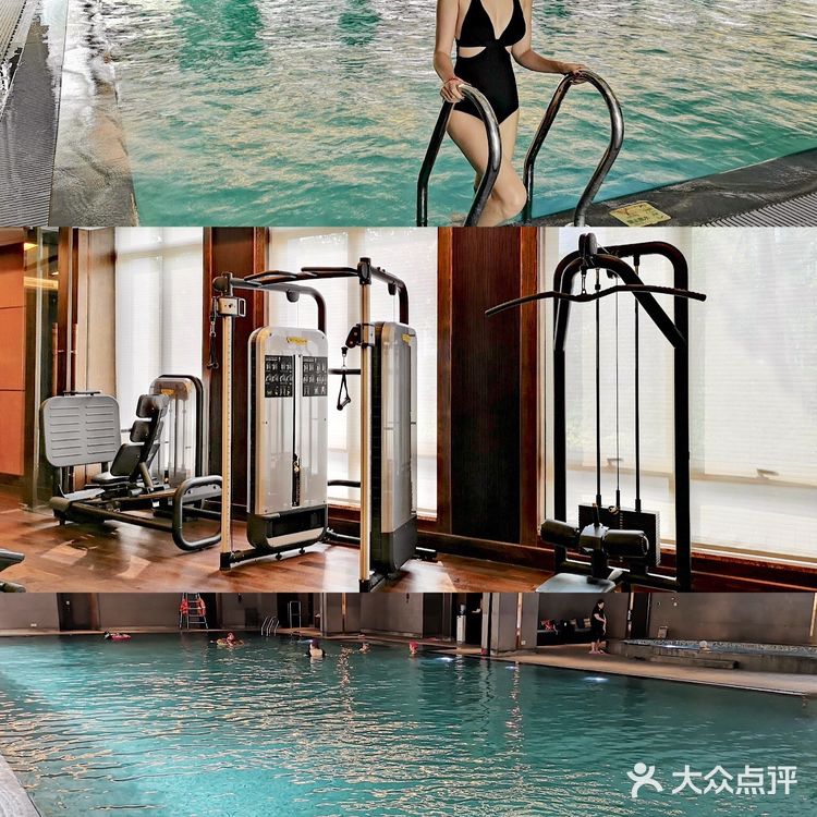 崇明十二时辰🌟在金茂体验🐎背上的快意｜魔都周边旅游攻略📝