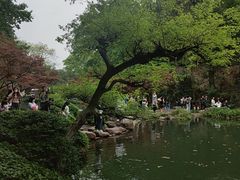 -岳麓山风景名胜区