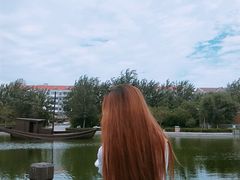 -绿岛公园(滨海新区)
