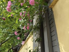 -颐和路民国时期公馆风貌区