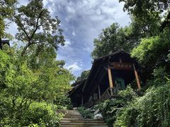 -中国茶叶博物馆(双峰馆区)