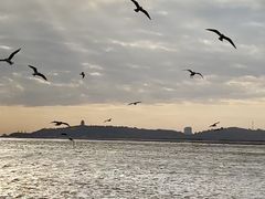 -湄洲岛
