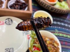 -昆虫窝子·特色云南菜(拓东路总店)