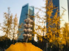 -重庆市江北嘴中央商务区中央公园