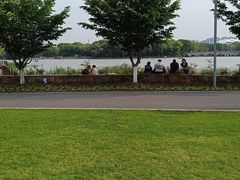 -昆山城市生态森林公园