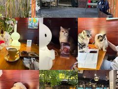 -咖法森林·咖啡  酒吧(天河店)