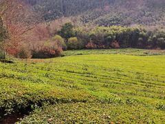 -敬亭山风景名胜区